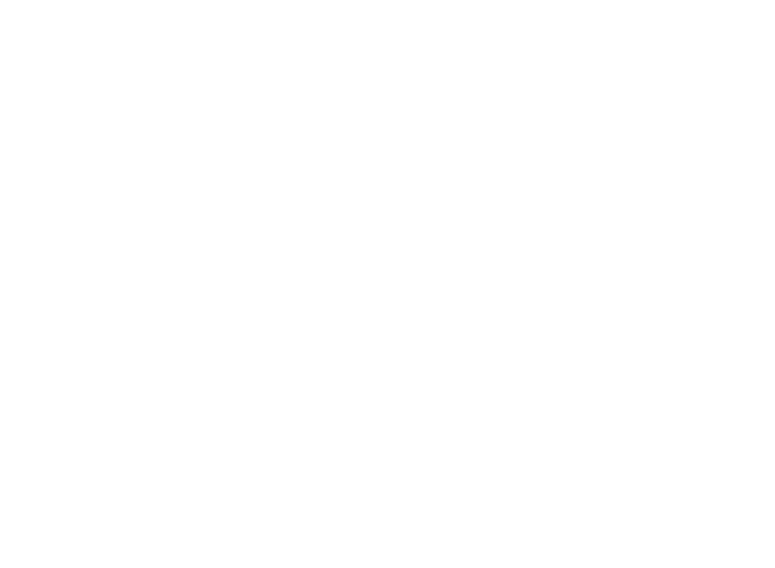 Epic Web Results white logo
